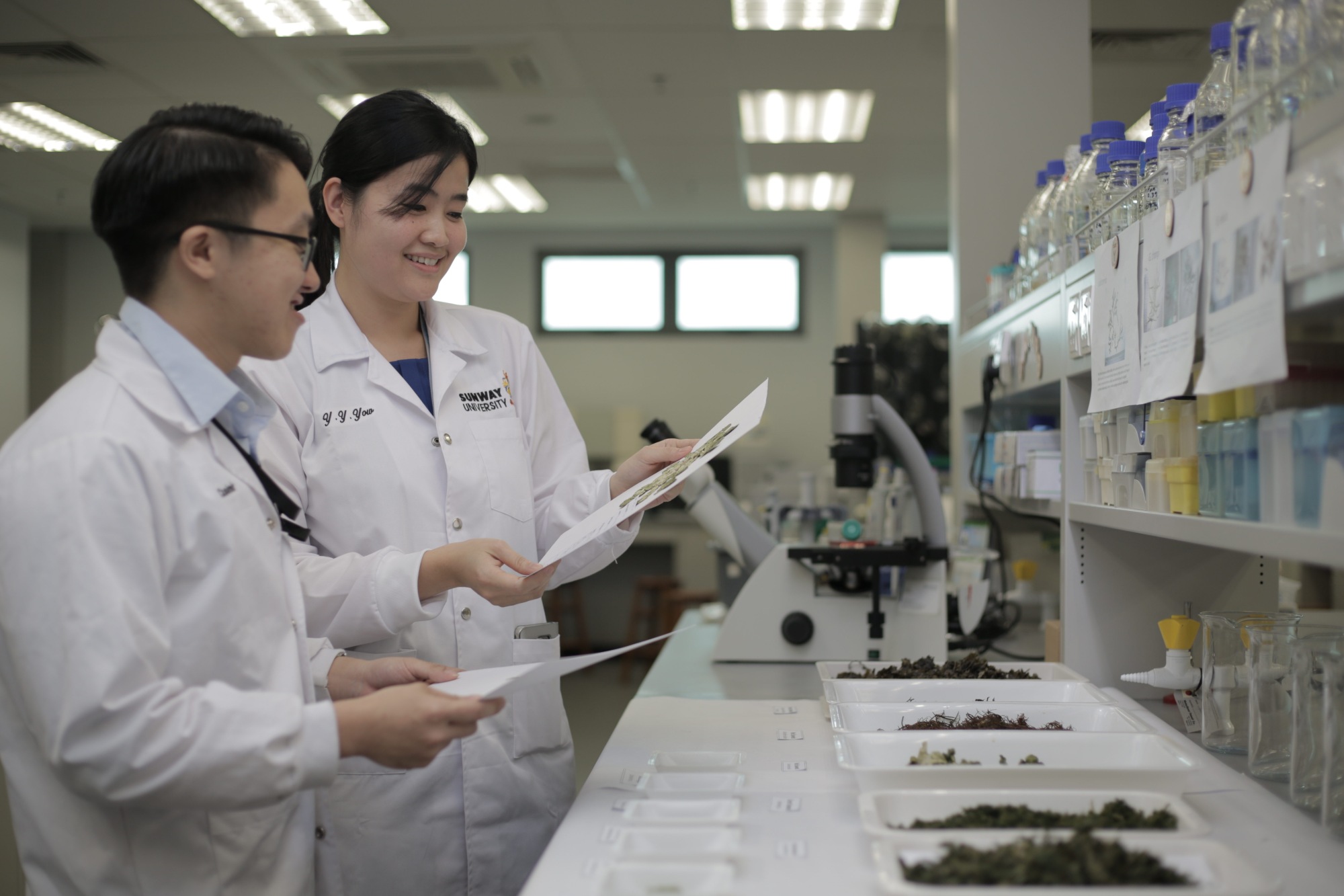 Medicine and Life Sciences